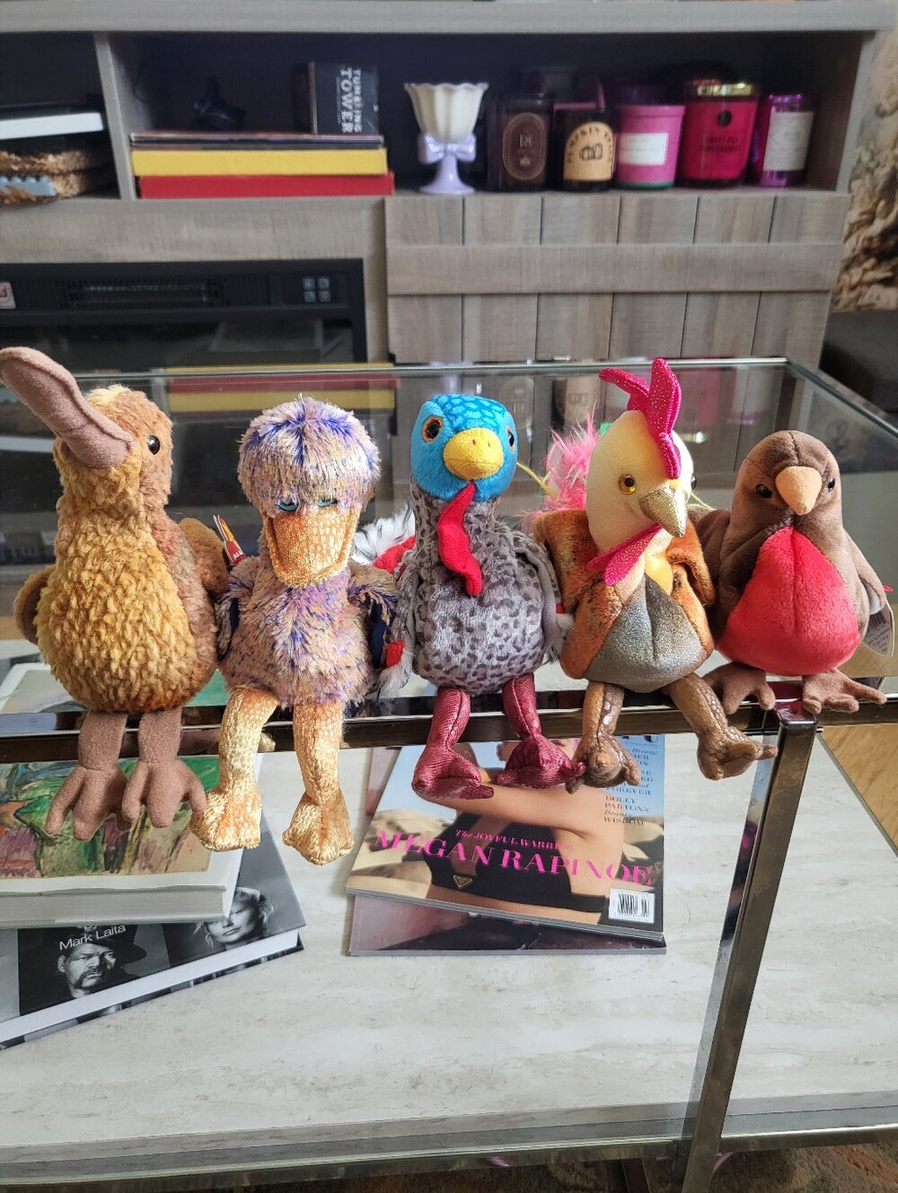 TY Beanie Babies Bird Lot (5)